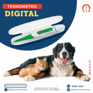 Termometro