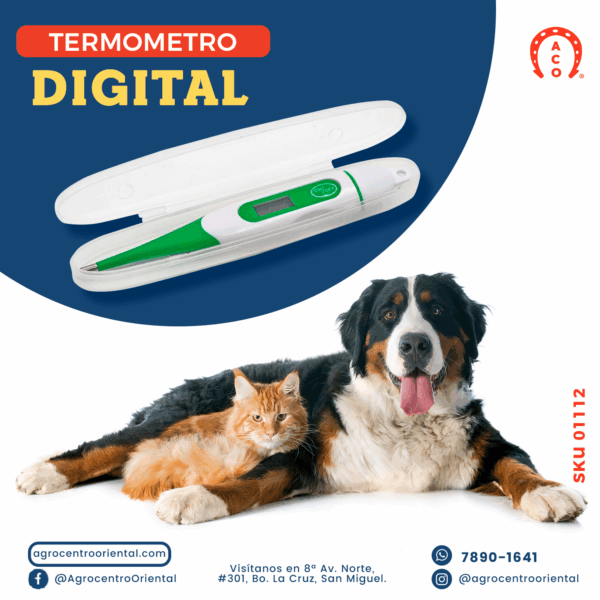 Termometro