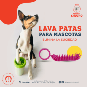 Vaso lava patitas