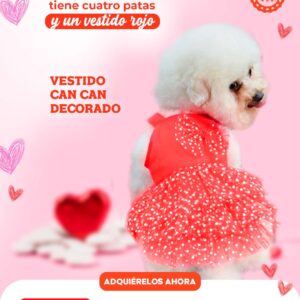 VestidoCanCan