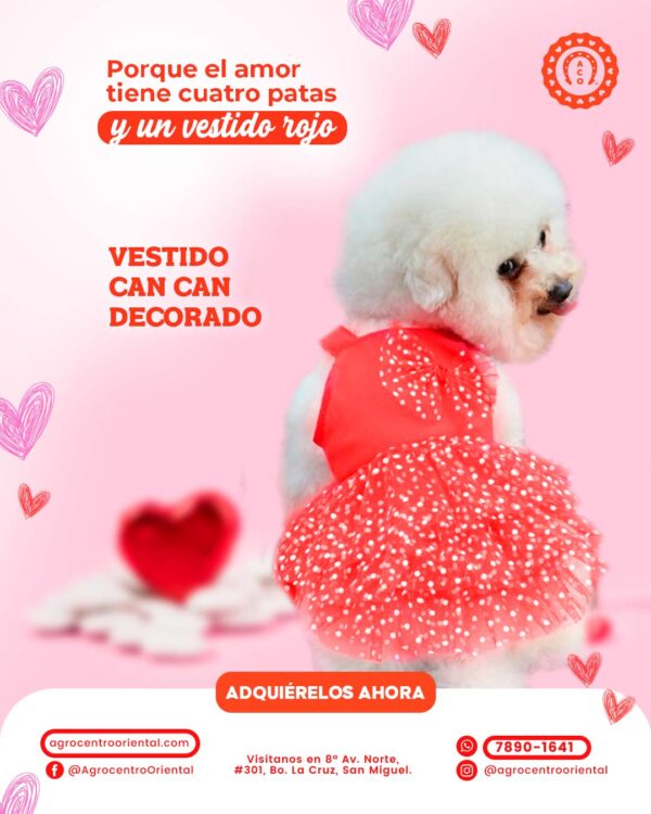 VestidoCanCan