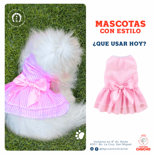 Vestido con perla