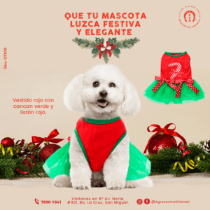 VestidoRojoVerde