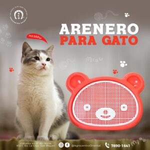 Arenero para gato con forma de osito