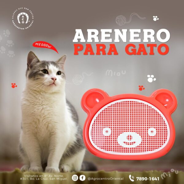 Arenero para gato con forma de osito