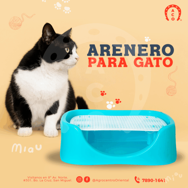 arenero para gato