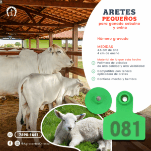 AretesPequeños