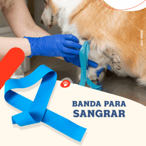 BandaParaSangrar