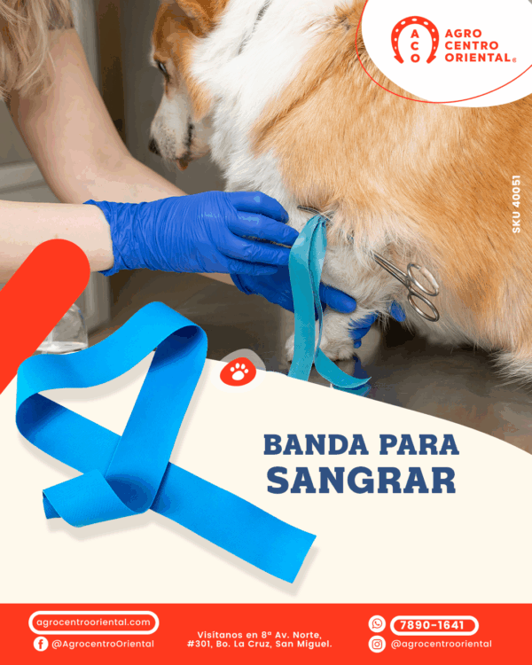 BandaParaSangrar