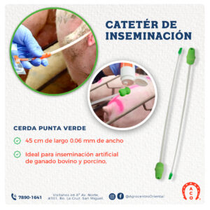 CateterInseminadordeCerda