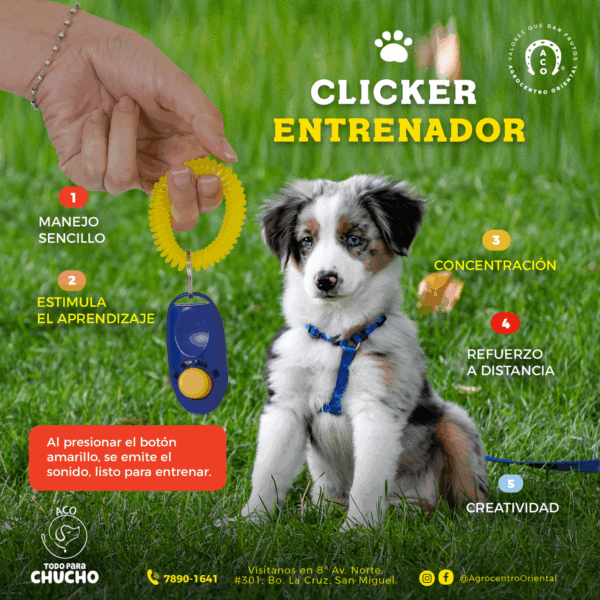 Clicker de entrenamiento