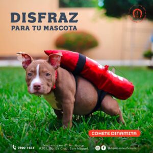 DISFRAZ DE COHETE