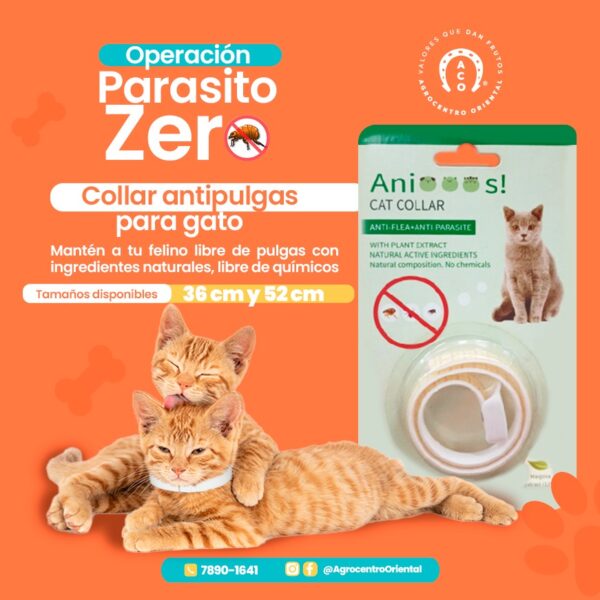 Collar antipulgas para gato