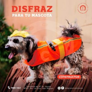 DISFRAZ DE FOVIAL