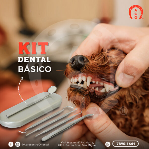 Kit dental basico