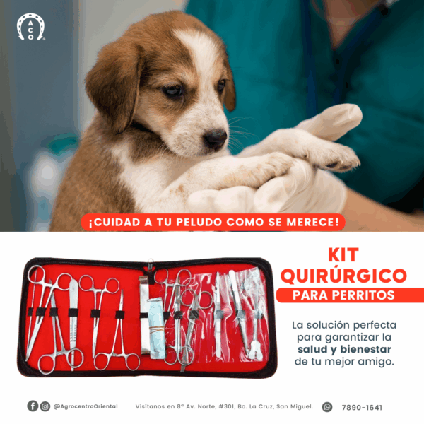 Kit Quirurgico