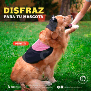 DISFRAZ DE PIRATA