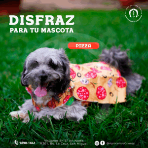 Disfraz de pizza