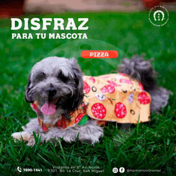Disfraz de pizza