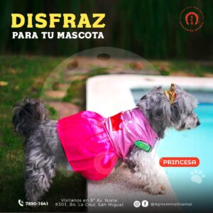 DISFRAZ DE PRINCESA
