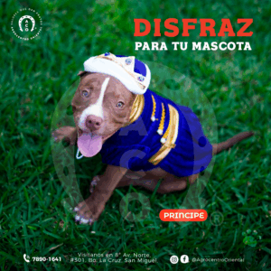 Disfraz de príncipe