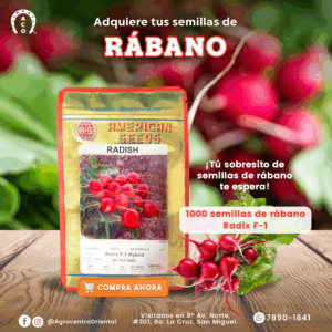 SEMILLA DE RABANO RADIX F1 HYB 1,000 SEMILLAS
