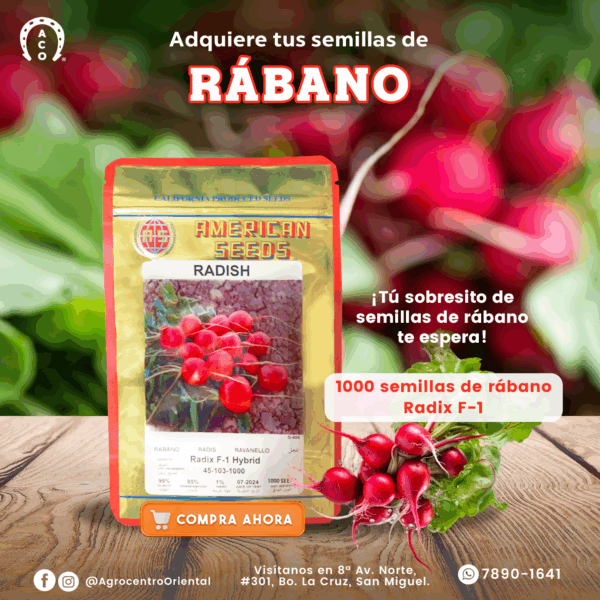 SEMILLA DE RABANO RADIX F1 HYB 1,000 SEMILLAS