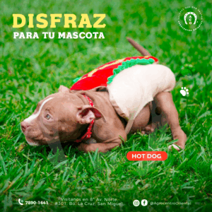 Disfraz de Hot Dog