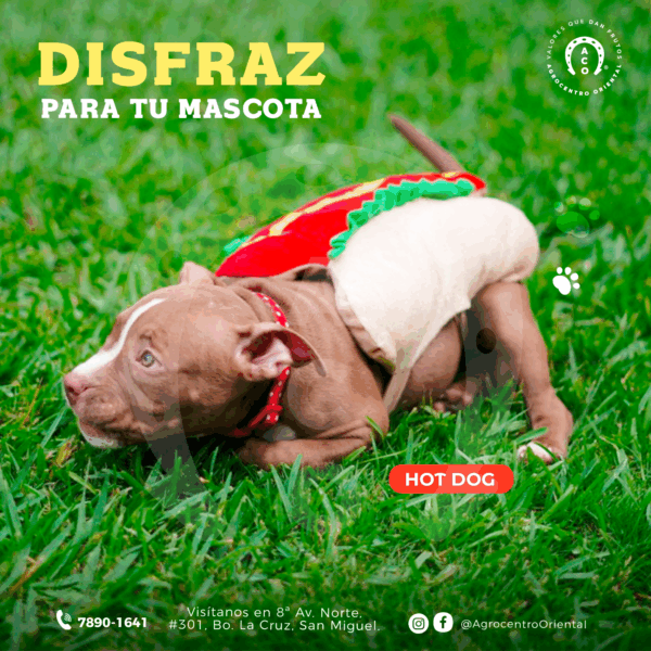 Disfraz de Hot Dog