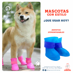 Zapatitos para lluvia