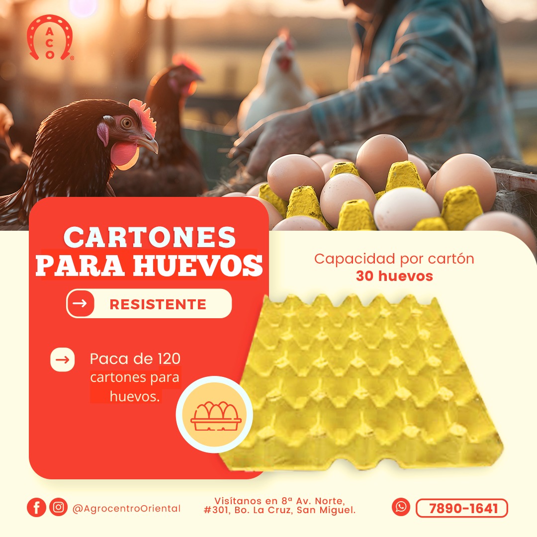 Cartones para huevos