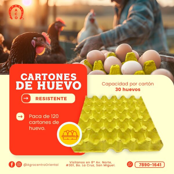 Cartón de huevos