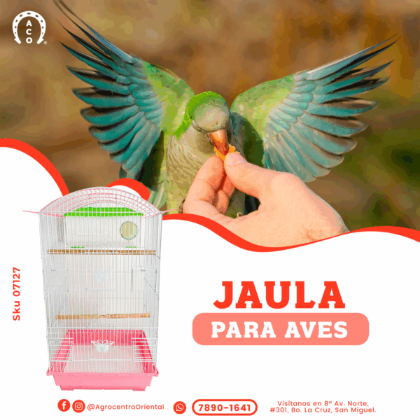 Jaula para perico
