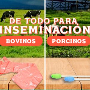 Inseminación artificial